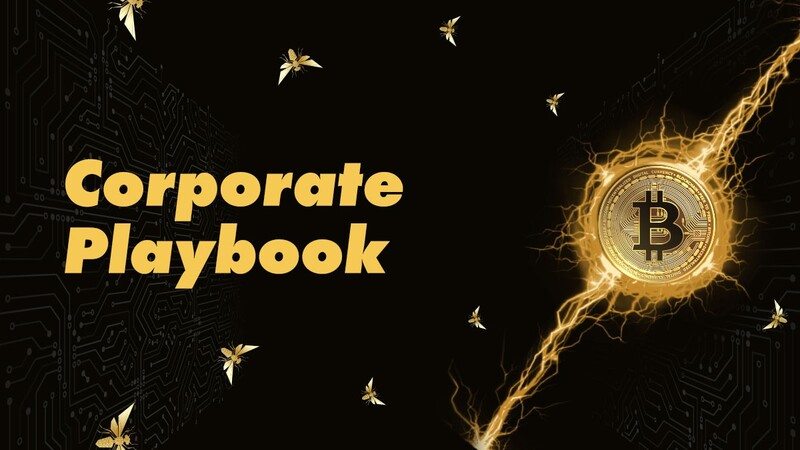 The Crypto Playbook: Reinventing Sports Engagement